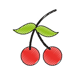 cherry fresh fruit isolated icon vector illustration design