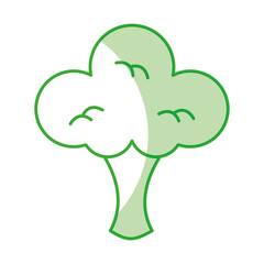 broccoli fresh vegetable isolated icon vector illustration design