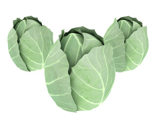 Obraz premium green cabbage isolated on white background. 3d illustration