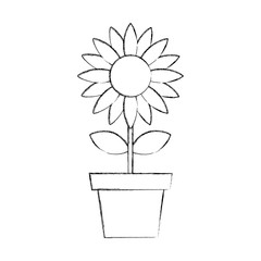 beautifull sunflower isolated icon vector illustration design
