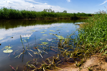 Rzeka Narew © podlaski49