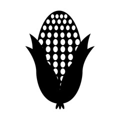 cob corn isolated icon vector illustration design