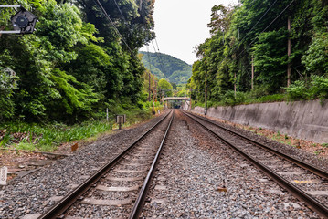 Fototapeta premium Railway at Bamboo forest of Arashiyama