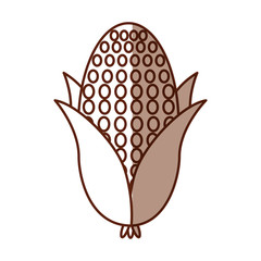 cob corn isolated icon vector illustration design