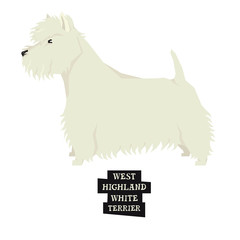 Dog collection West Highland White Terrier Geometric style Isolated object