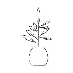 office plant isolated icon vector illustration design