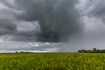 Ominous storm clouds over a rural field in summer