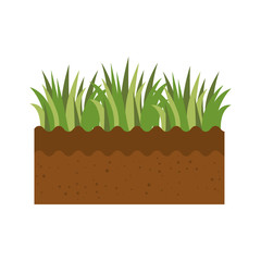grass icon over white background vector illustration