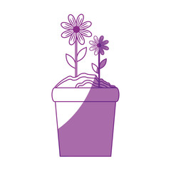 beautiful flowers in a pot icon over white background vector illustration