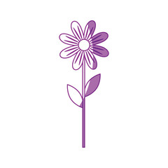 beautiful flower icon over white background vector illutration