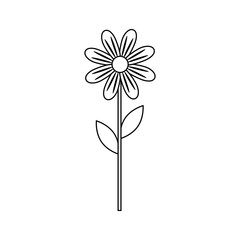 beautiful flower icon over white background vector illutration