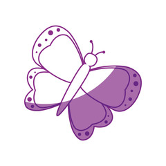 beautiful butterfly icon over white background vector illustration