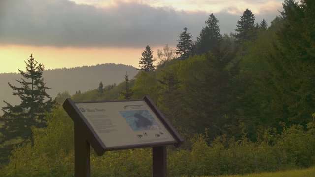 Beartrap Gap Overlook on the Blue Ridge Parkway Closeup with Black Bear Informational Signage and a Green Forest Tree Background on an Early Morning near Asheville North Carolina