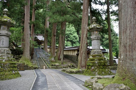 福井県の有名な寺の永平寺