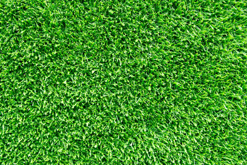 Obraz premium Beautiful green grass texture