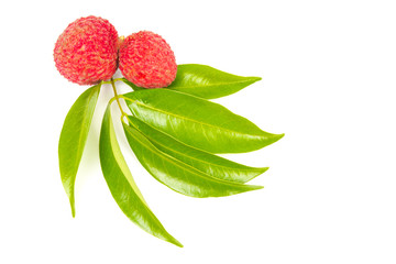  Lychee on white background.