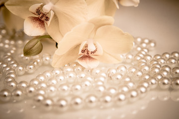 Perle und gelbe Orchidee auf weißem Glas