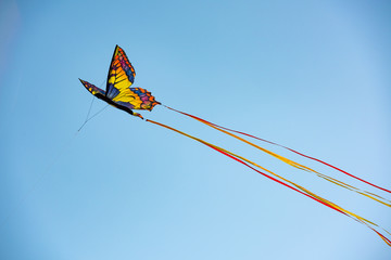 Butterfly kite flying in the sky