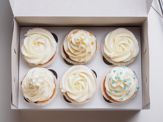 cupcakes on paper box. white