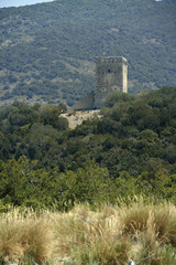 Fototapeta premium maremma