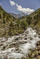 stormy mountain river in the mountains landscape with mountains, river, flowing waves in the foreground