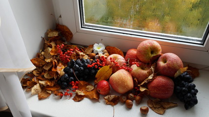 Autumn harvest