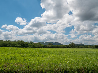 countryside field with mountain and cloudy sky