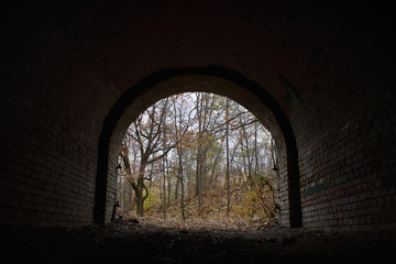 view of the autumn forest clearing out an old abandoned tunnel