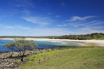 Angourie, Australia