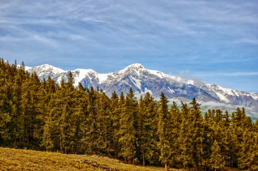 The snow-white peaks in the clouds. The photo was taken in the campaign in the Altai region on Chuysk. Russia. Green valley with grass, trees and shrubs. Mountains and clouds in the distance.