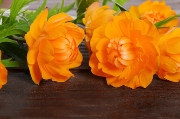 Beautiful orange flowers on wooden background