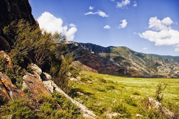 Trekking in the Altai region in the vicinity of the Katun River. Summer. The valley with grass and rocks.