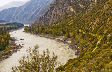 Altai. Mountain turbulent river flows among the trees. In the distance the mountains. Neighborhood Belugas, photo made in the campaign, in the summer, Russia.