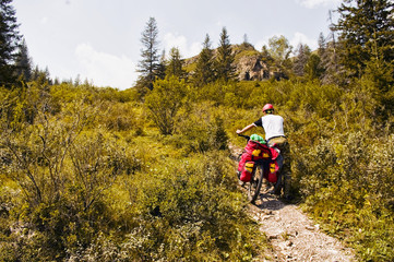 Fototapeta premium Biking on the Altai Republic. Beautiful mountain scenery, forest, green, mountains. A man on a bicycle with a backpack on a slope, trail, mountain road. Sprtivny campaign. Russia. Tourism.