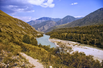 Altai. Mountain turbulent river flows among the trees. In the distance the mountains. Neighborhood Belugas, photo made in the campaign, in the summer, Russia.