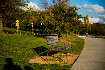 Lonely bench