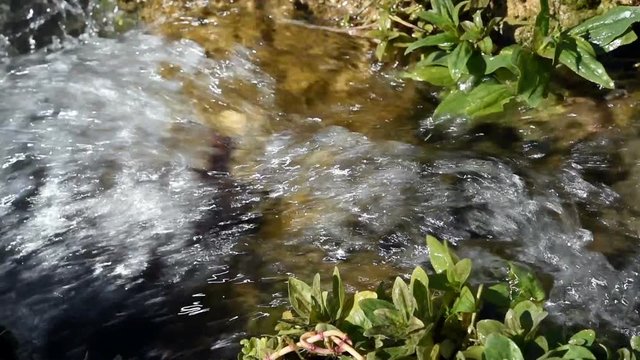 Mountain stream fresh water 