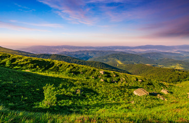 Obraz premium meadow with boulders in Carpathian mountains in summer