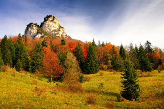 Rocks and trees in fall colors in the national park Mala Fatra, Slovakia, Europe.