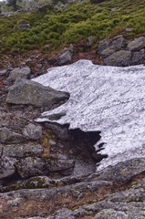 in the Ural Mountains, summer, snow, out of Snowfield river flows around rocks and grass. Tulymsky Kamen, Vishera Reserve.