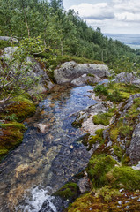 The lake is surrounded by forest. Landscape, clear mountain lake.