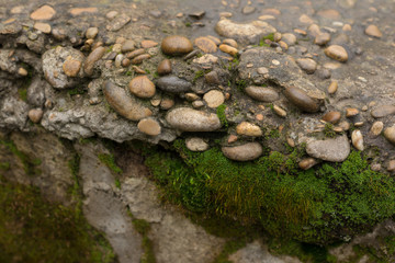 Fototapeta na wymiar wet concrete wall with green moss and stones background. Closeup.