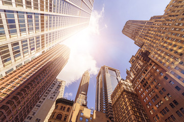 Obraz na płótnie Canvas office towers in the sun