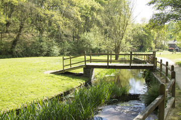 Fototapeta premium Bridge over the river
