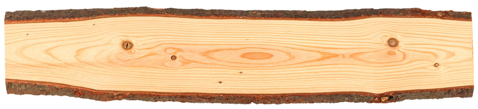 Fototapeta long panorama wood plank with bark isolated on white background