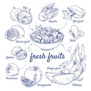Doodle set of fresh fruits - Figs, Physalis, Starfruit, Passion fruit, Dates, Lychees, Persimmon, Pomegranate, Dragon fruit, bowl, hand-drawn. Vector sketch illustration isolated over white background