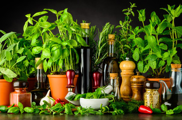 Still Life with Fresh Cooking Ingredients and Herbs