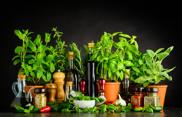 Still Life wit Cooking Ingredients, Herbs and Utensils