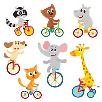 Cute little animal characters riding unicycle, bicycle, tricycle, cycling, cartoon vector illustration isolated on a white background. Little baby animal characters riding bikes, bicycle