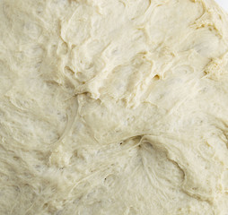 Kneading dough, fermented dough in a basin, dough for making bread
